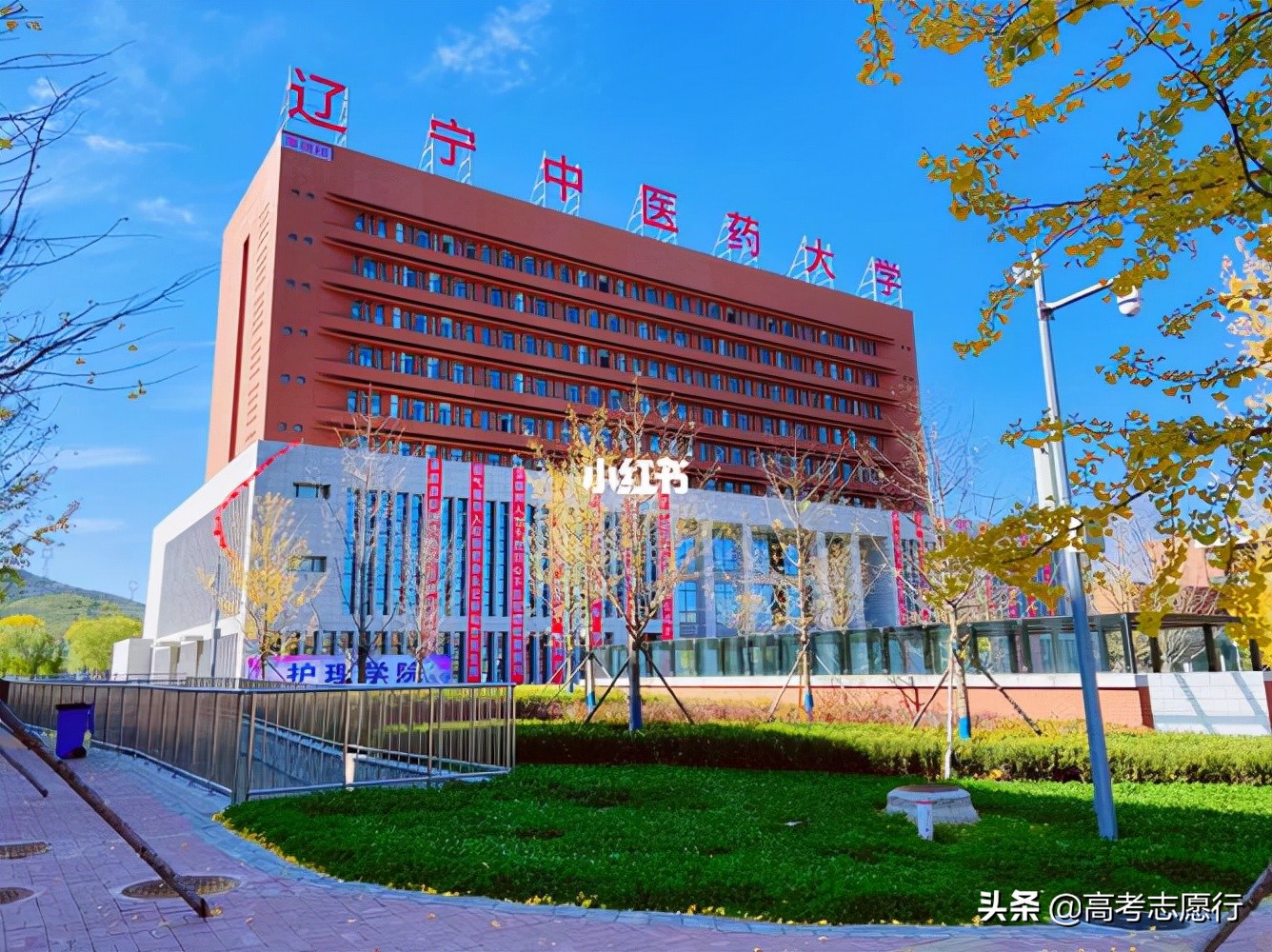 辽宁四大医学院校排名,辽宁省医学类院校都有哪些