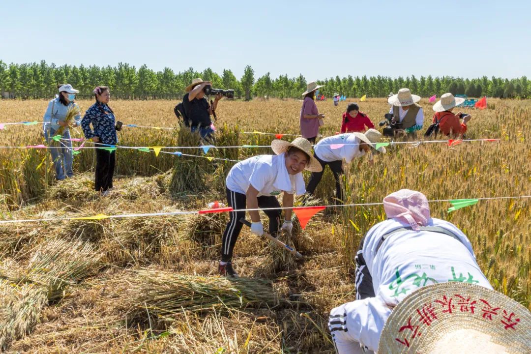 休闲农业和乡村旅游线路图,休闲农业旅游线路推荐