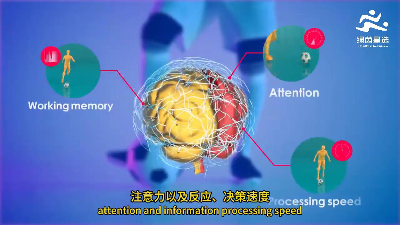 绿茵星选足球大脑测试,绿茵足球测评