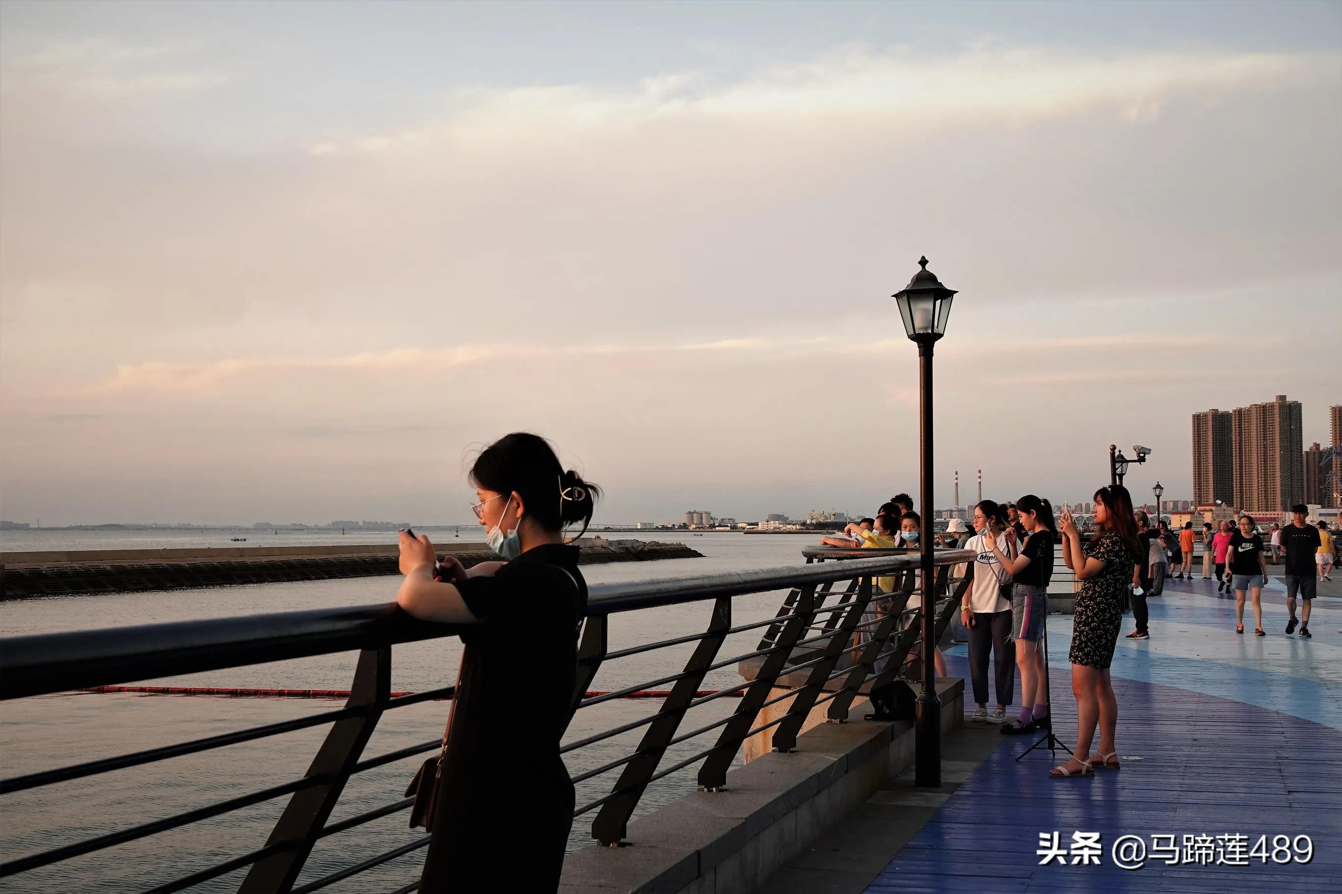 青岛金茂湾,青岛金茂湾地址