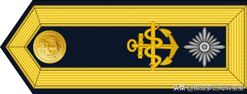 二战德国国防军医疗兵军衔标志