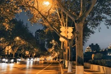 母亲节送礼物手镯,母亲节儿媳妇送的金镯子