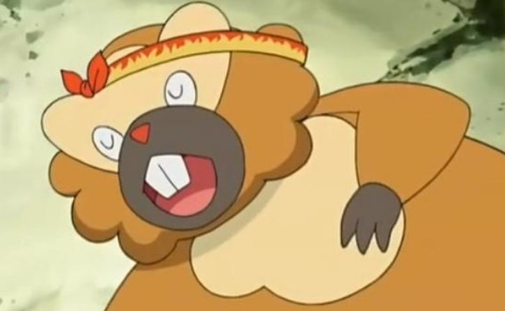 目标是一般系宝可梦大师！家门宠介绍之家门鼠篇