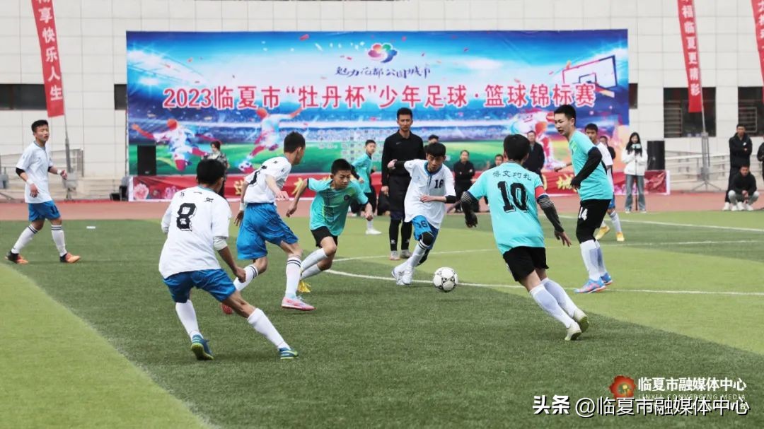 临夏牡丹杯小学篮球比赛,甘肃省临夏市牡丹杯篮球联赛