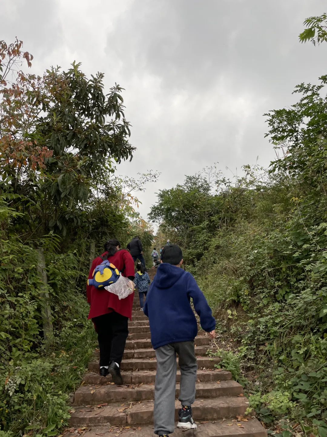成都旅游豌豆尖,成都仰天窝近郊爬山推荐