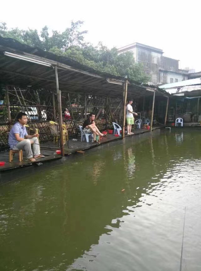 人为什么喜欢怀念从前,人为啥总喜欢怀念过去