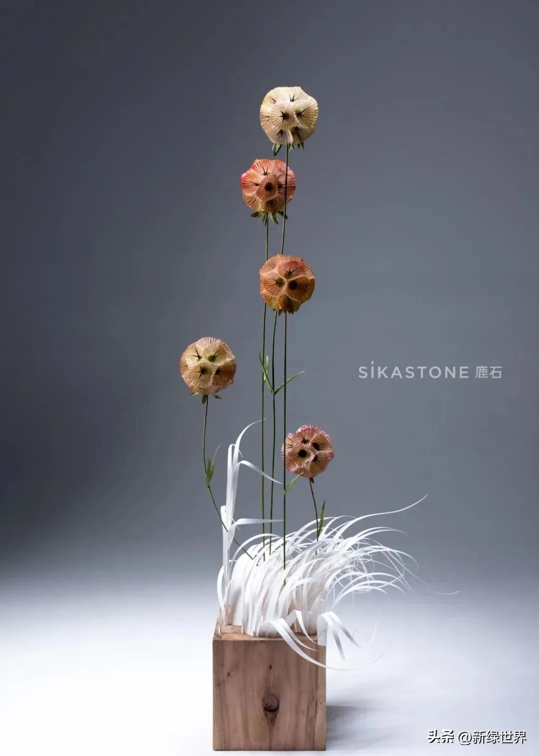 纸艺作品绘画,千变万化的纸艺术作品