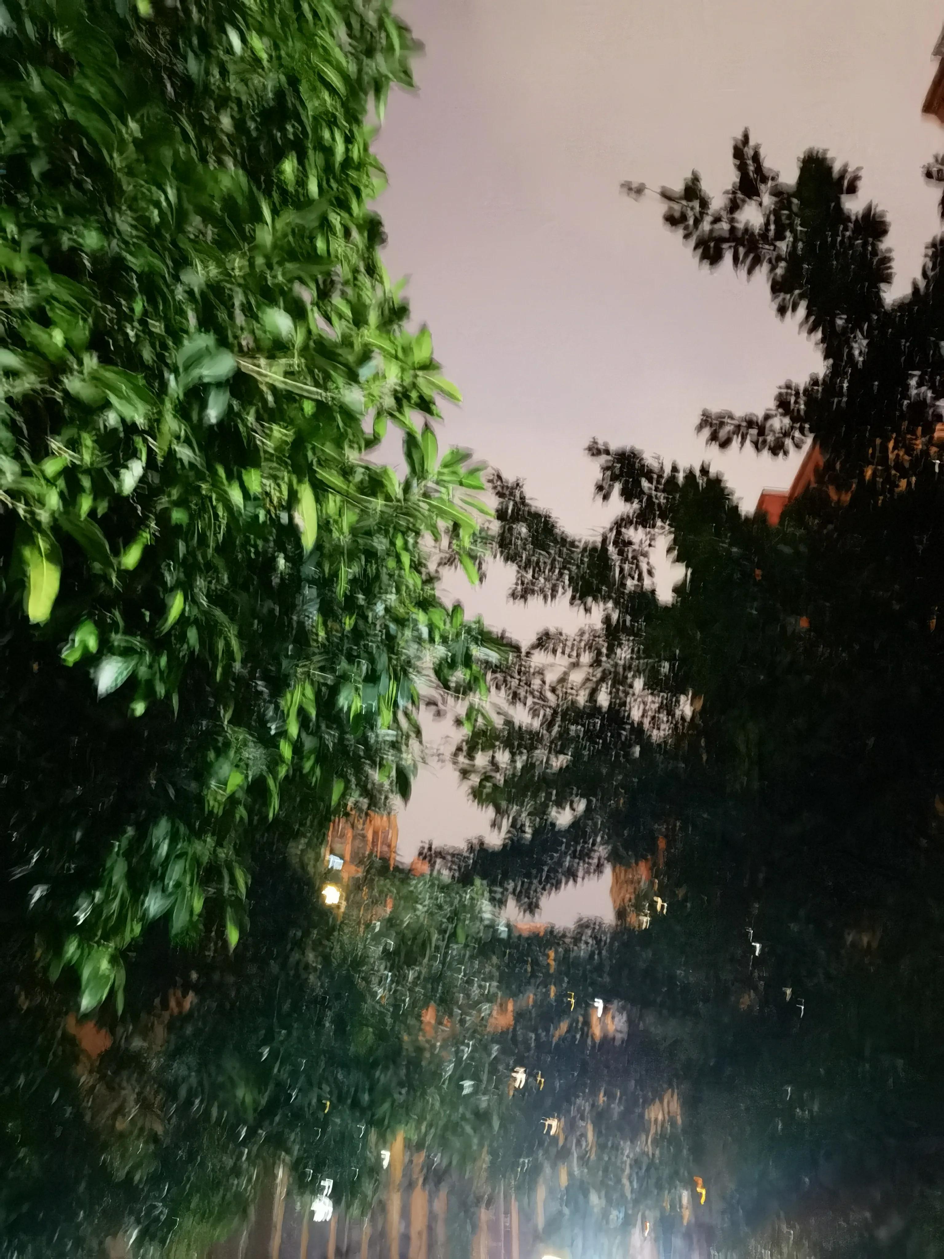 雨水的雪水,收集的雨水