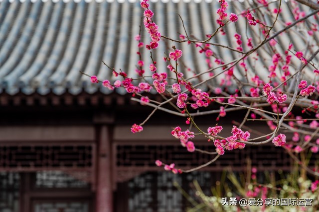 胎教唐诗三百首之第七首静夜思,胎教故事唐诗三百首爸妈讲