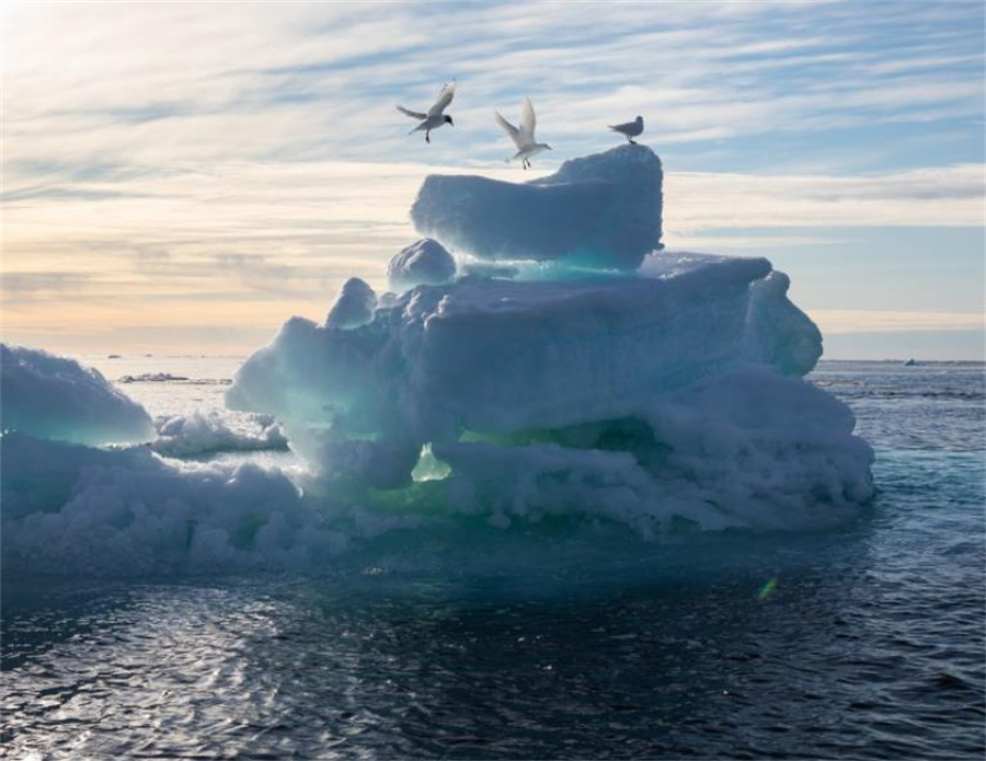 美国女人的收藏品，全美服装比赛上的佳丽，40张照片带你看全球