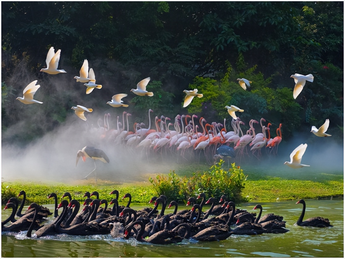 说走就走的旅行广州长隆欢乐世界,广州长隆适合8-10岁的主题乐园