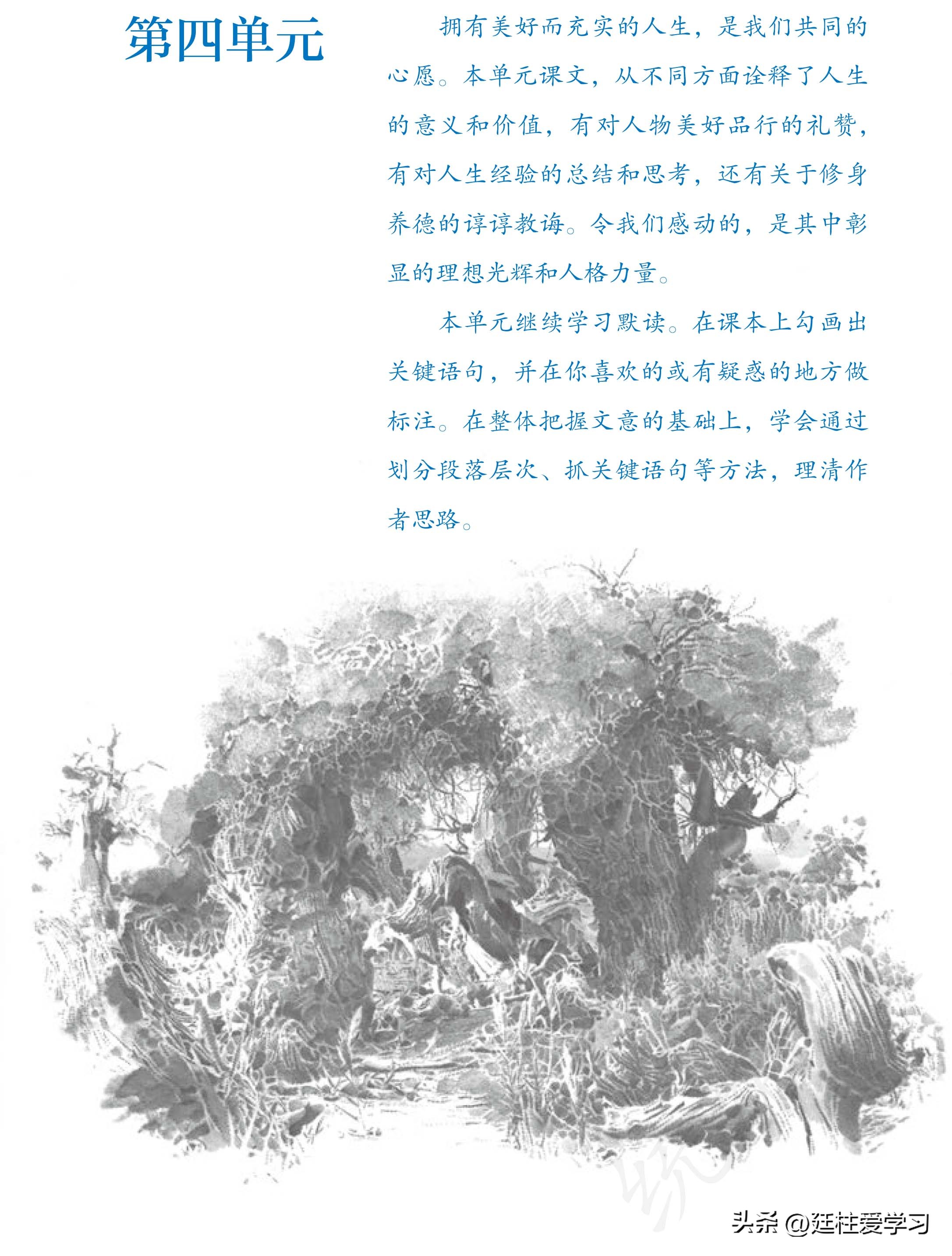 语文七年级上册电子版,语文七年级上册电子版课时练