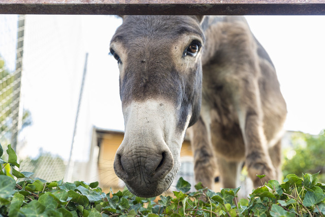 五岁那年我死了小说后续,五岁那年我死了全文结局