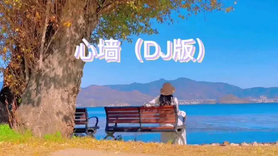 阿根廷夺冠中国球迷反应,阿根廷球迷夺冠后有多疯狂