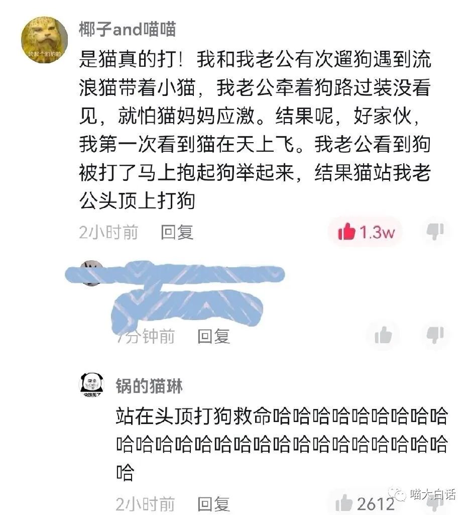 不要乱起淘宝名字,淘宝名字不能随便取
