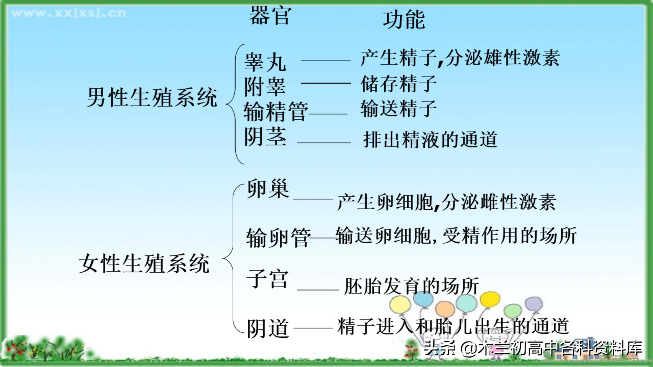 人教版七年级生物第二单元知识点,七年级下册生物第二节人的繁殖