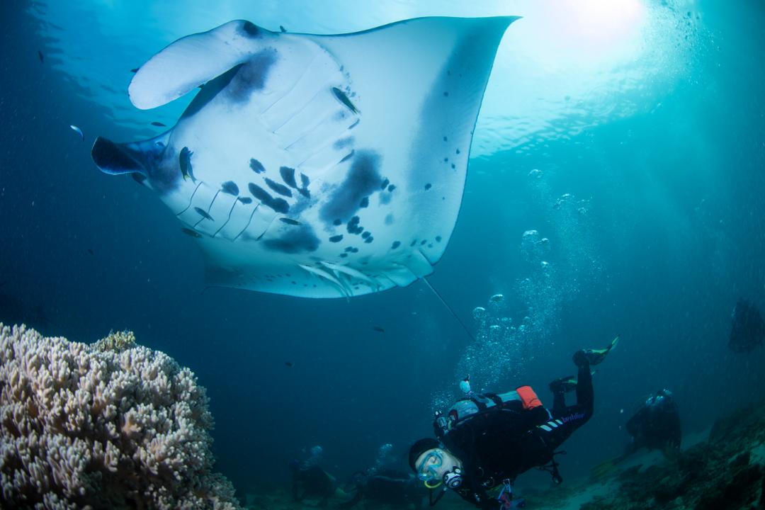 海陆空震撼炫酷视频,海陆空的全线飙战看得直呼过瘾