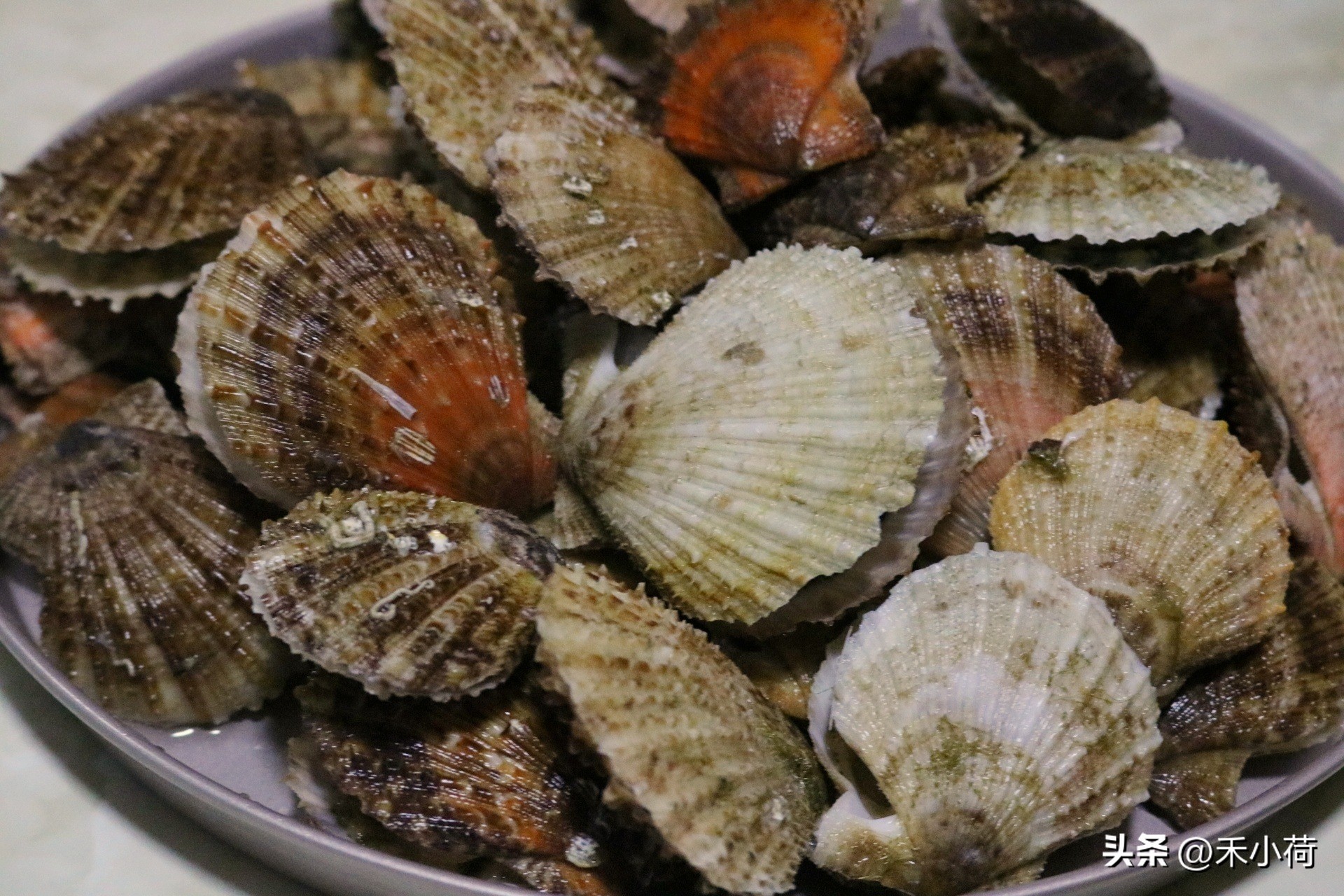 扇贝这样做香辣q弹10分钟就能上桌,海鲜扇贝的各种新吃法