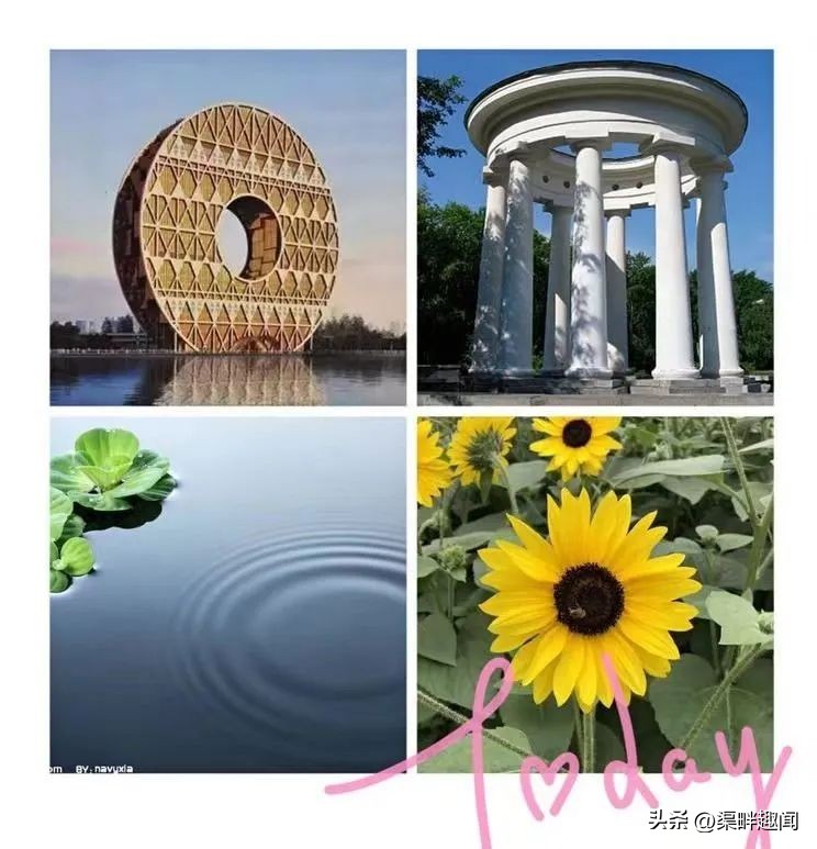 我们爱数学：圆来如此魅力无限桂园