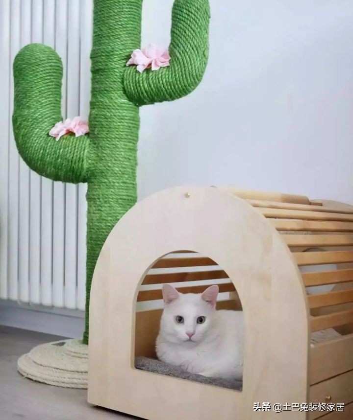 适合小夫妻住的两室一厅,90后小夫妻住30平米的房间吃什么