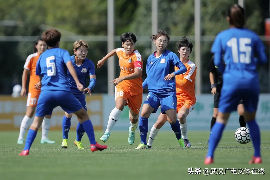 足球集装箱,足球球场集装箱