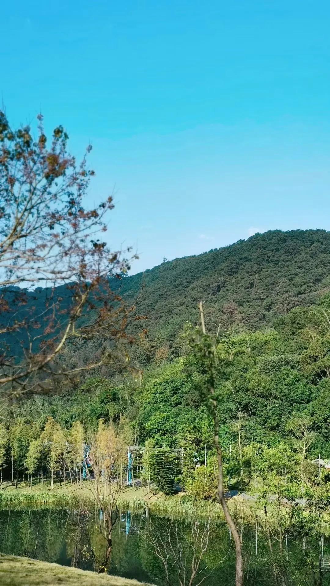 下辈子只想做条只有七秒记忆的鱼,愿做一条只有七秒记忆的鱼