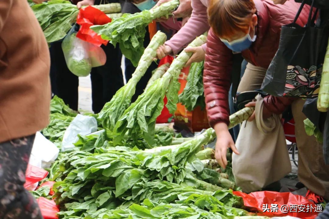 二环，是最新的“老”西安，也藏着美好生活“天花板”