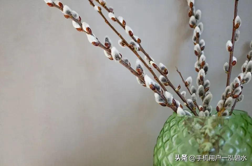 一副对联写尽了人生,对联一杯清茶伴岁月