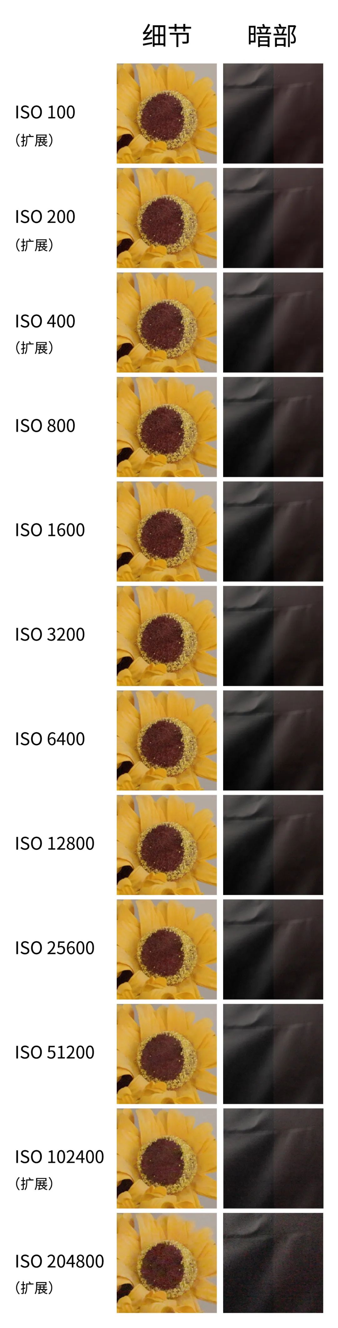 佳能r6mark2配什么性价比镜头,佳能r6mark2预拍摄