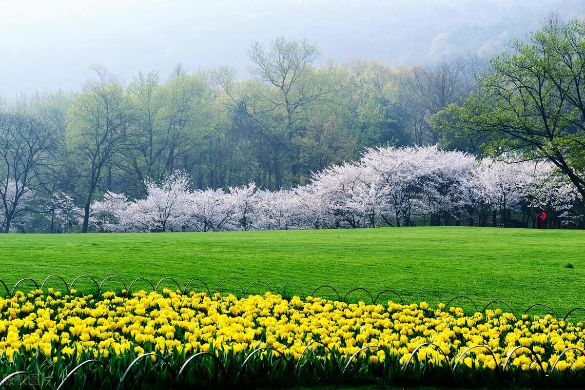 工伤左脚234跖骨骨折能评上伤残吗,跖骨骨折一般赔几个月误工费