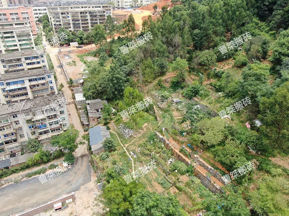 郴州万宝国际城c区26栋,郴州市万宝国际城c9栋户型图