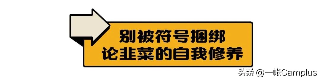 snowpeak进中国了吗,snowpeak上海