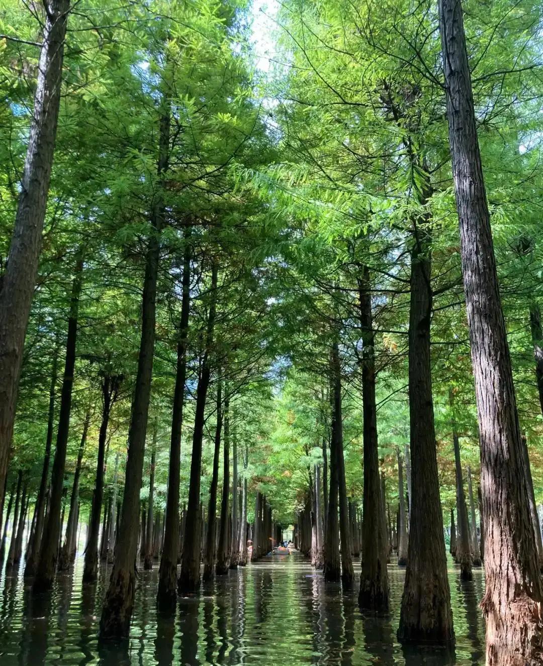 云南旅游攻略昆明旅游攻略,云南昆明旅游攻略