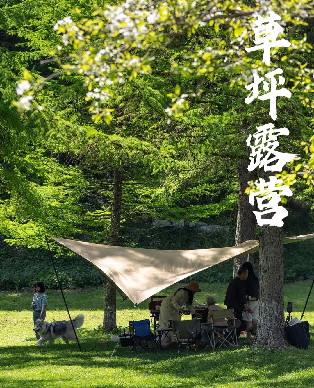 国庆不出省老家周边游,曾家山旅游行程