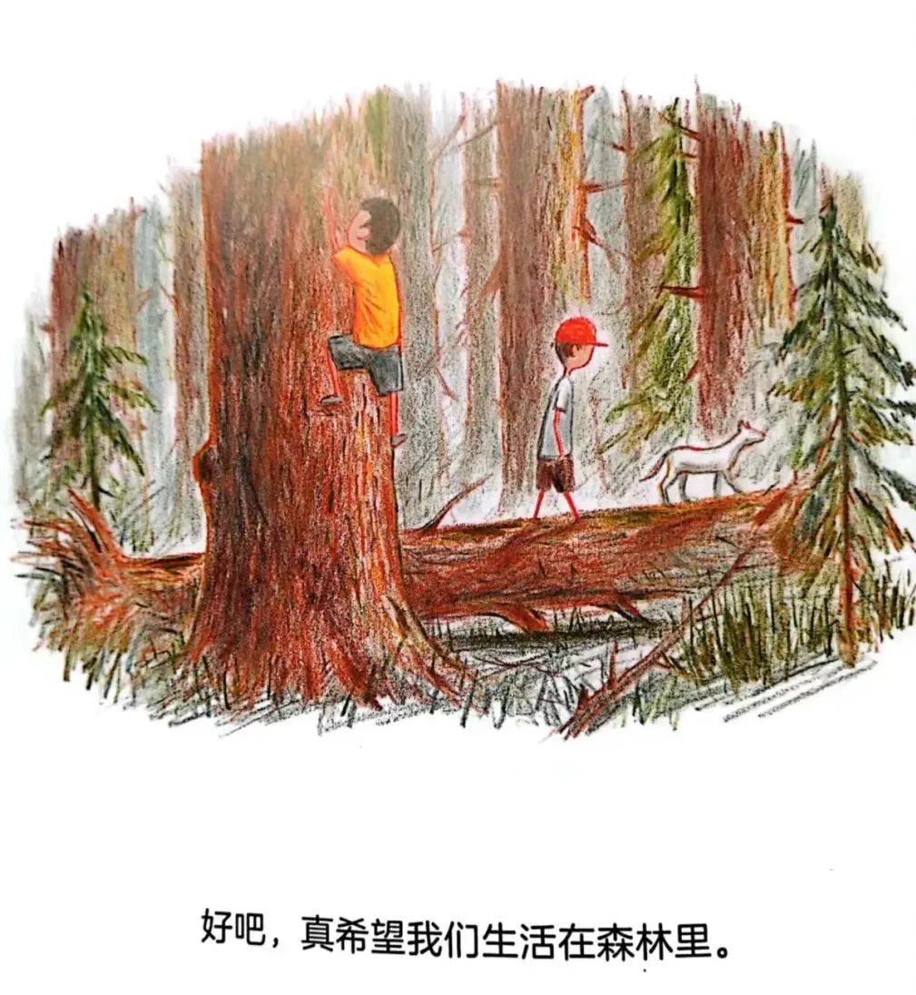 值得孩子看的4本经典绘本,绘本推荐3-6岁散步