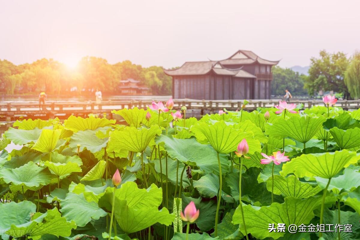 杭州西湖十大美景图片高清,杭州西湖美景照片