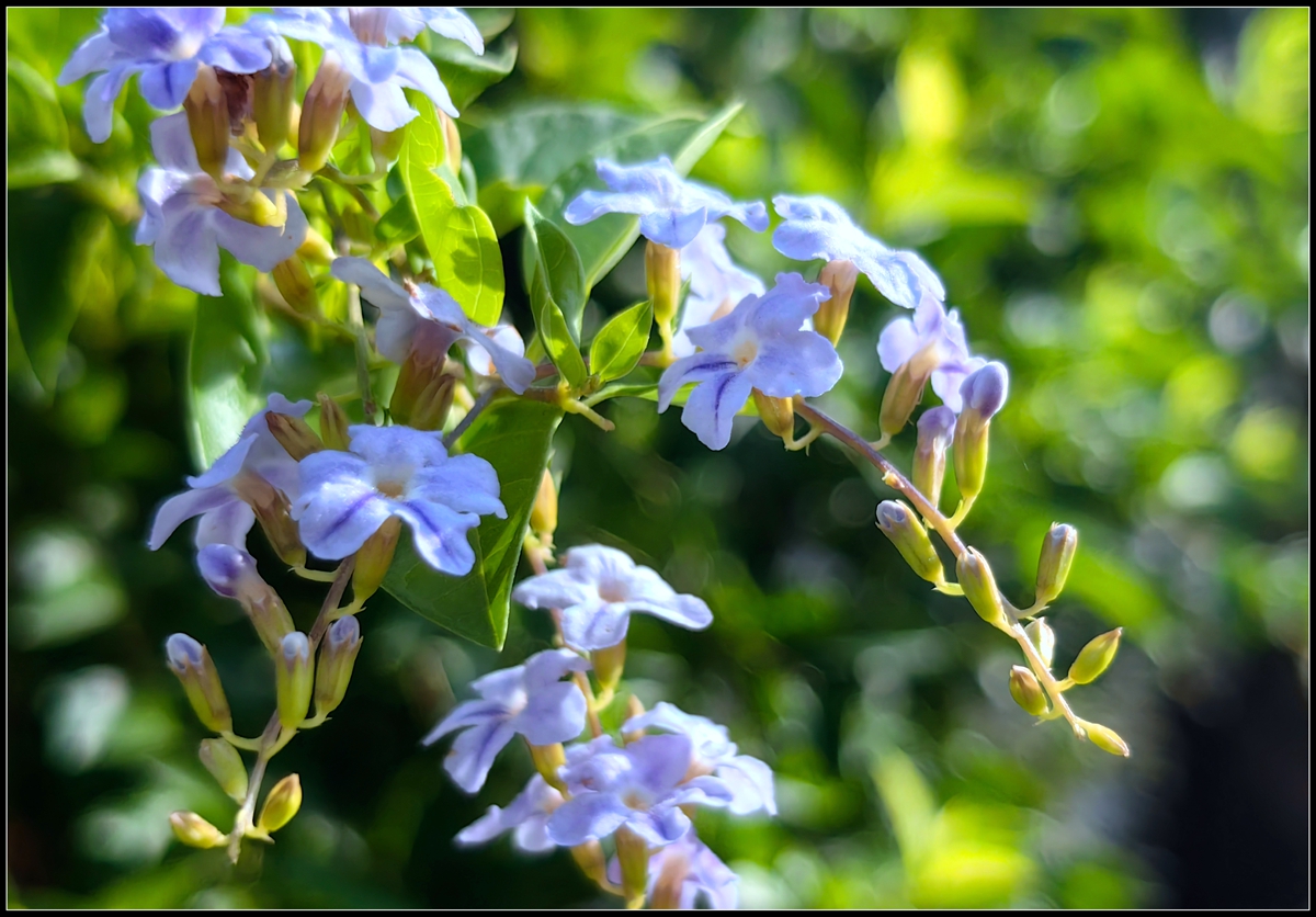 古人劝学诗句大全,古人的劝学诗有哪些
