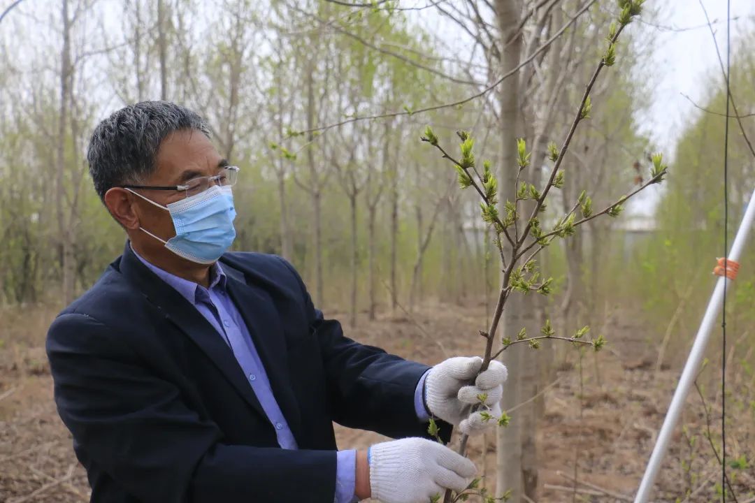 小产业带动乡村振兴大步伐,产业扶贫助力乡村振兴