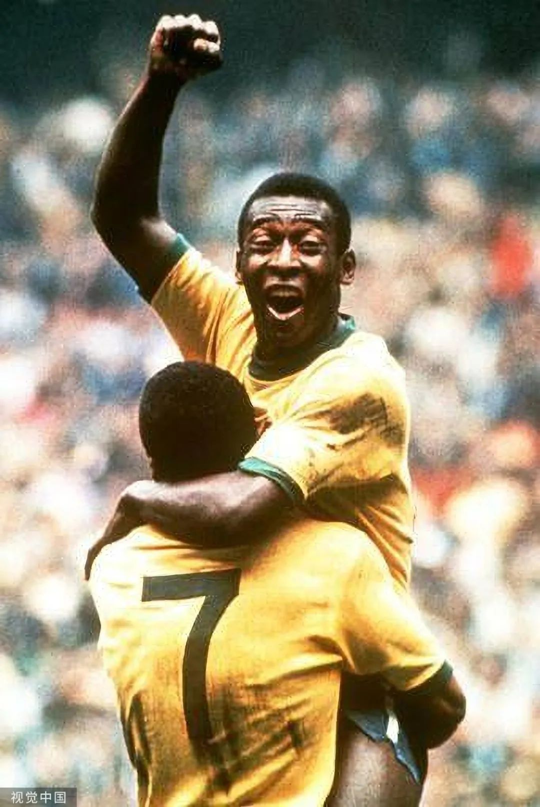 贝利的退役后生活,贝利的人生经历