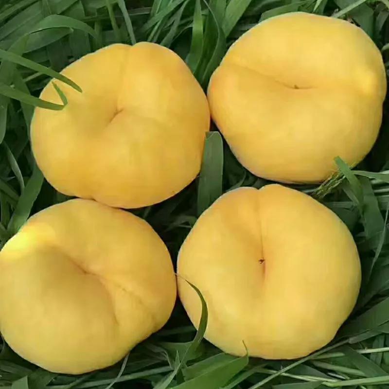 涔℃潙鏁ｆ枃鍥剧墖,锜犳缇庢枃