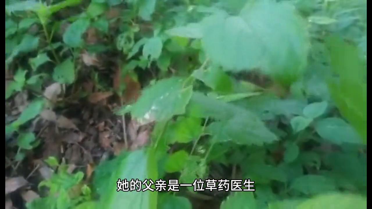 女医明妃传剧情,神医女妃