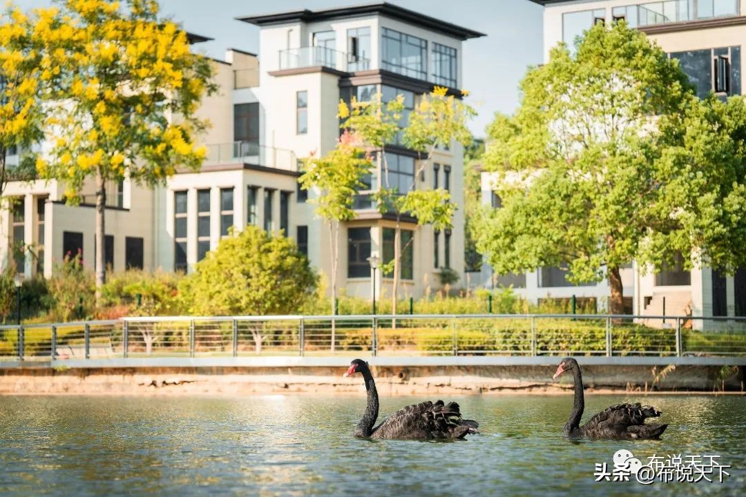 山水墅实景,山水墅127平米新中式完工实景