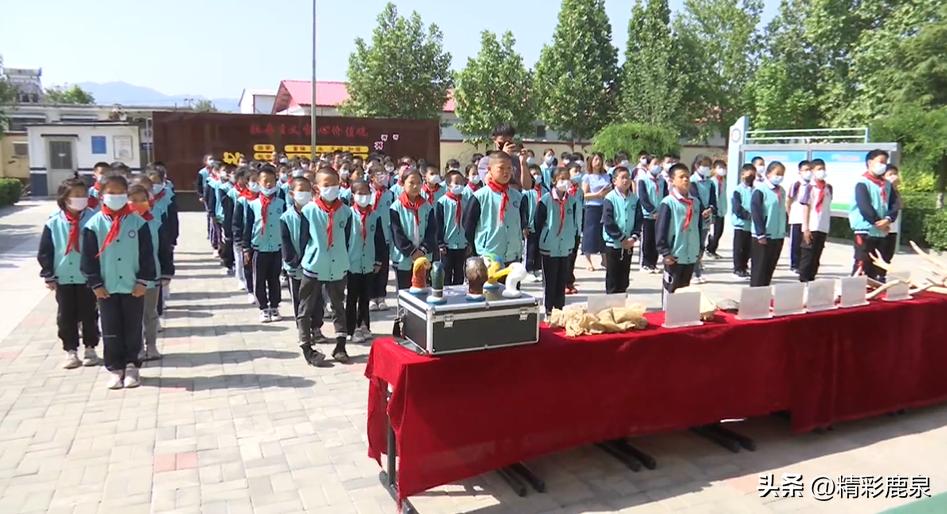 鹿泉：爱护动物共建生态家园