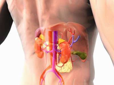 肾病综合征患者停药后要注意什么,老年人肾病综合征有哪些注意事项