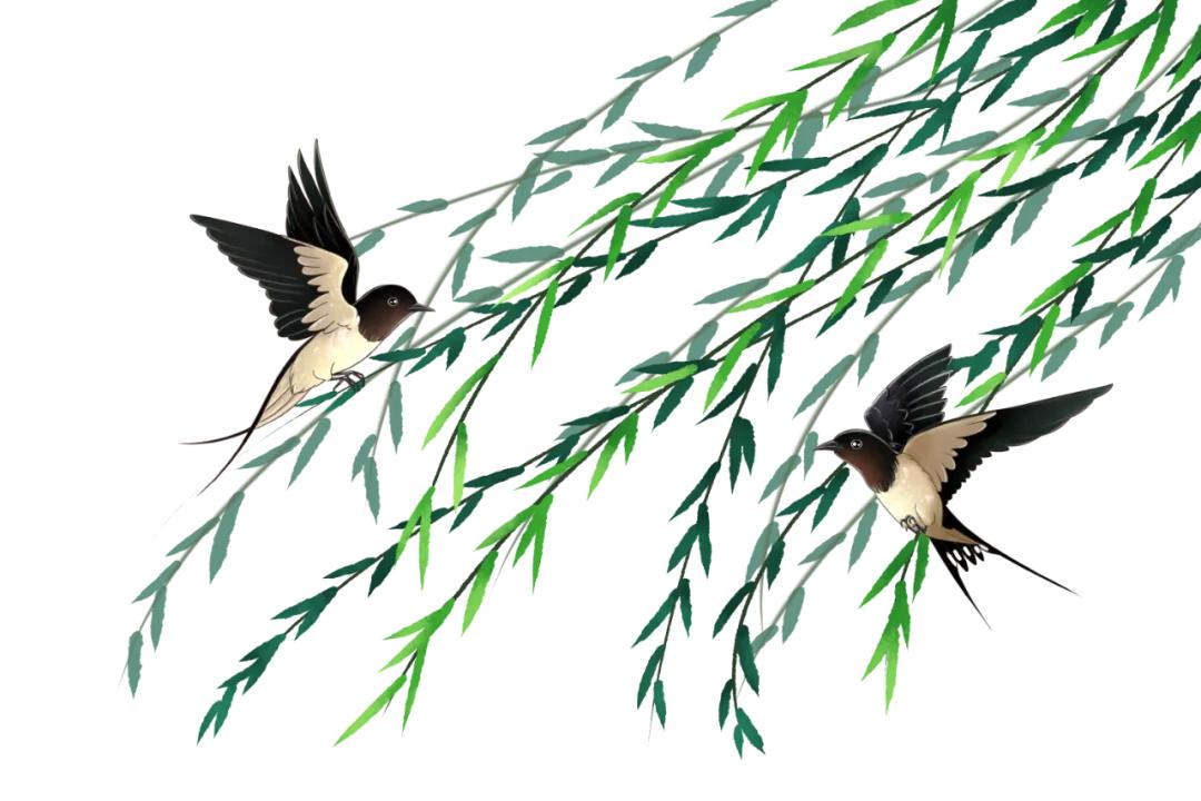 雨水哲理,雨水的好句