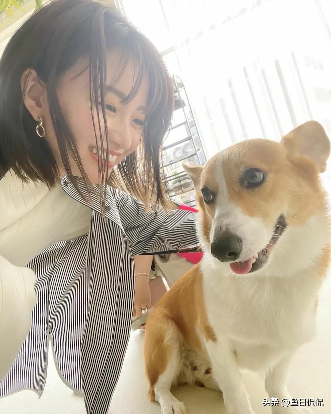 冈崎纱绘图片,冈崎纱绘演过的电视剧