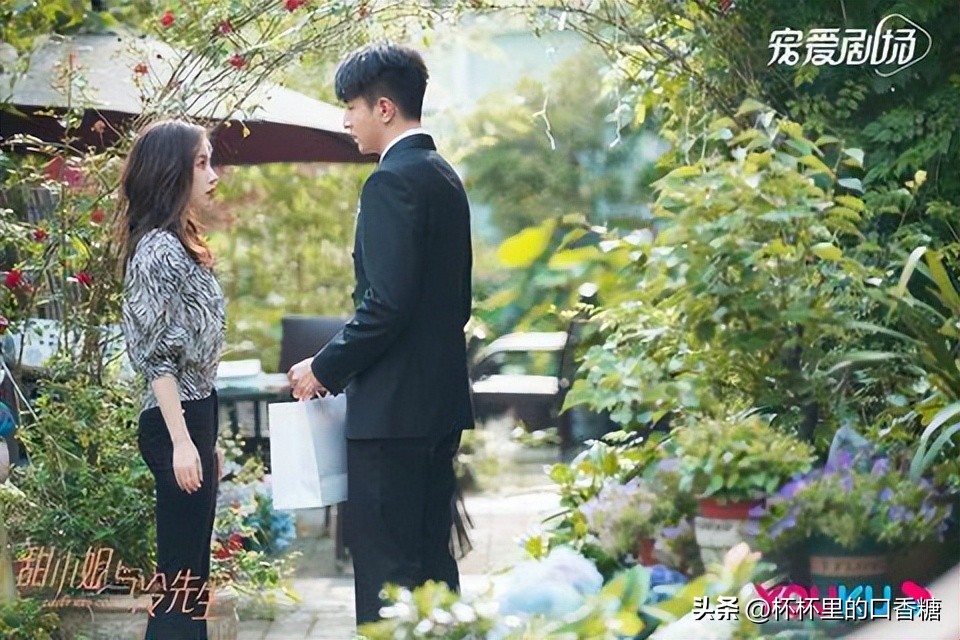 王鹤棣白鹿赵露思陈哲远,白鹿赵露思虞书欣王鹤棣吴磊