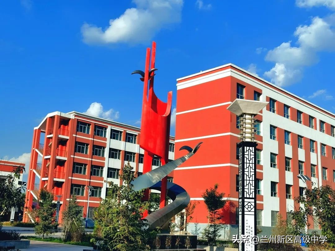 兰州新区高级中学学子在信息素养提升实践活动中斩获多个奖项