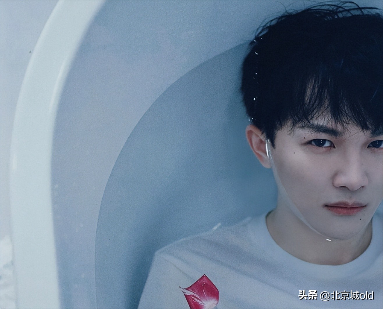 谷建芬音乐会周深完整版,周深与谷建芬第一次见面的视频