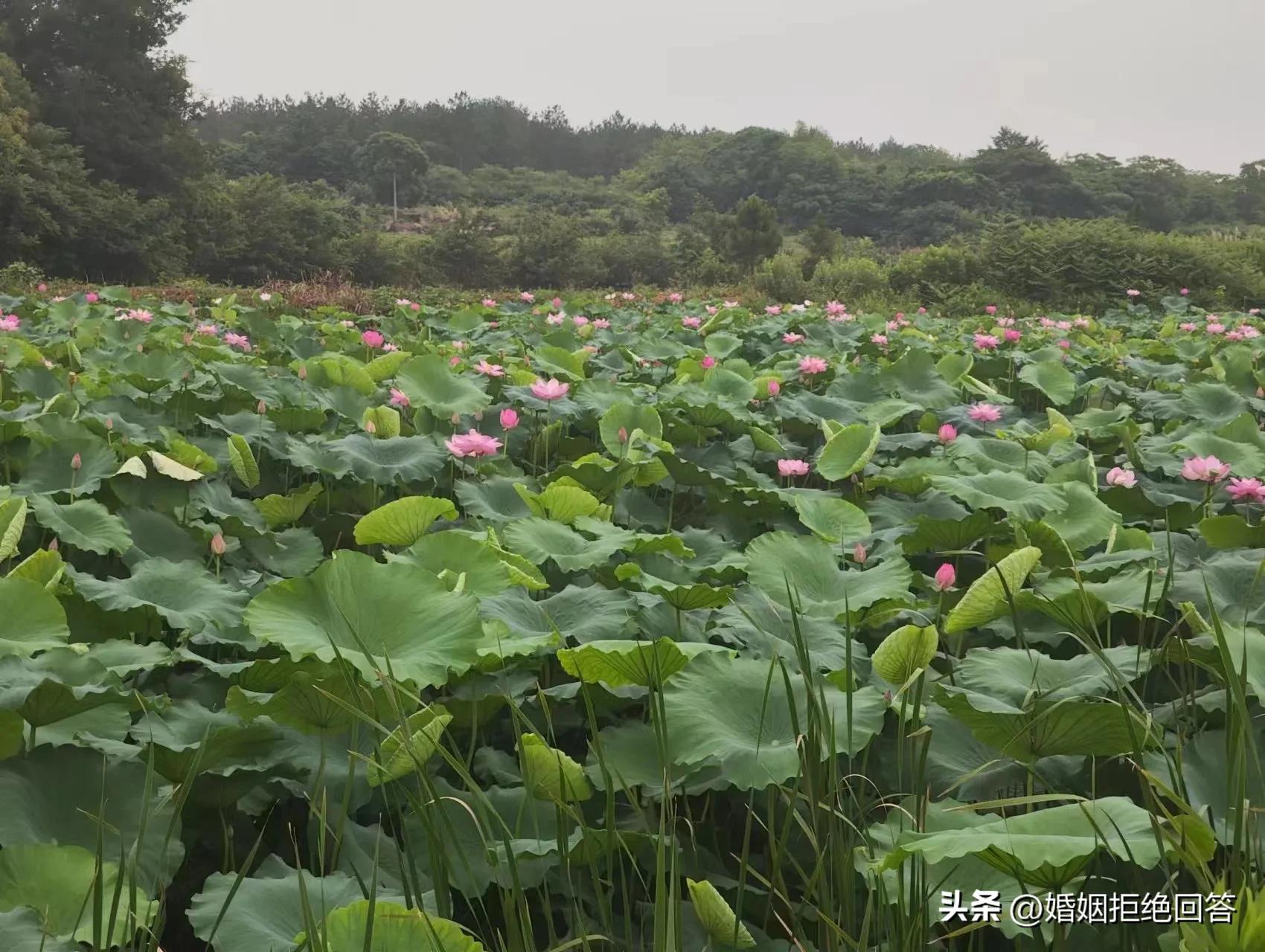 端午节送给天堂的父母,端午节送什么礼品给父母